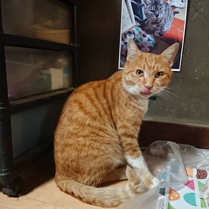 20cfd834 c7a7 4331 b488 d0a2fc5e59f3 1602753157085