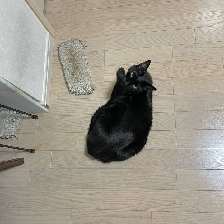 20cfe872 8255 4ab2 a90b c9d0c26ce8d9 1655819403230