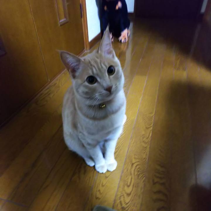 20cffc7f 1743 4e6f ba3a b57f9c039f5a 1555844187638