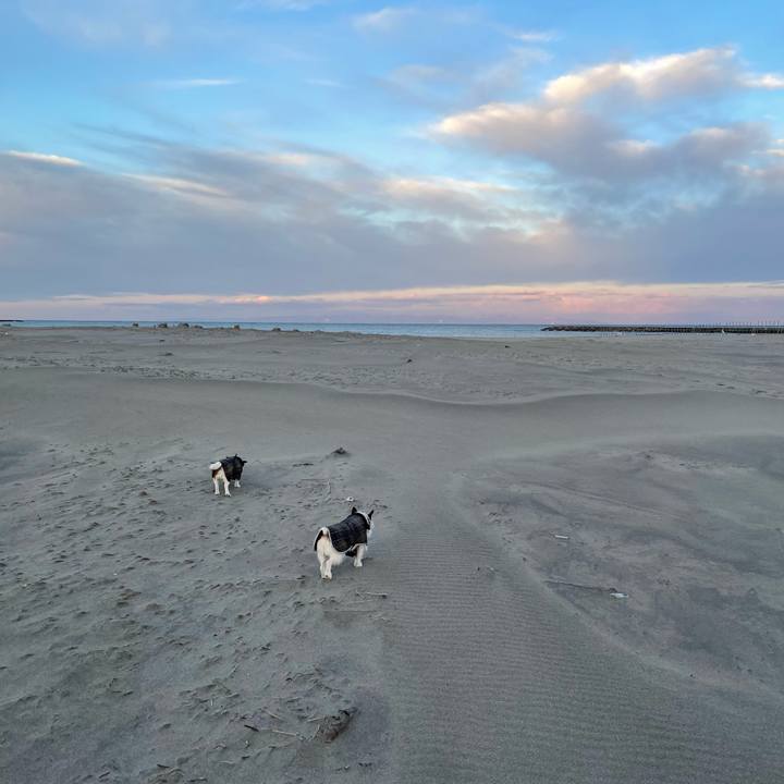 20d01003 8e0a 4b4f bb58 ba4891338ced 1768000755884