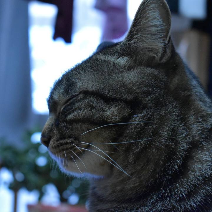 20d0383c fe2f 475d 997a 5941a4357eec 1547165606367