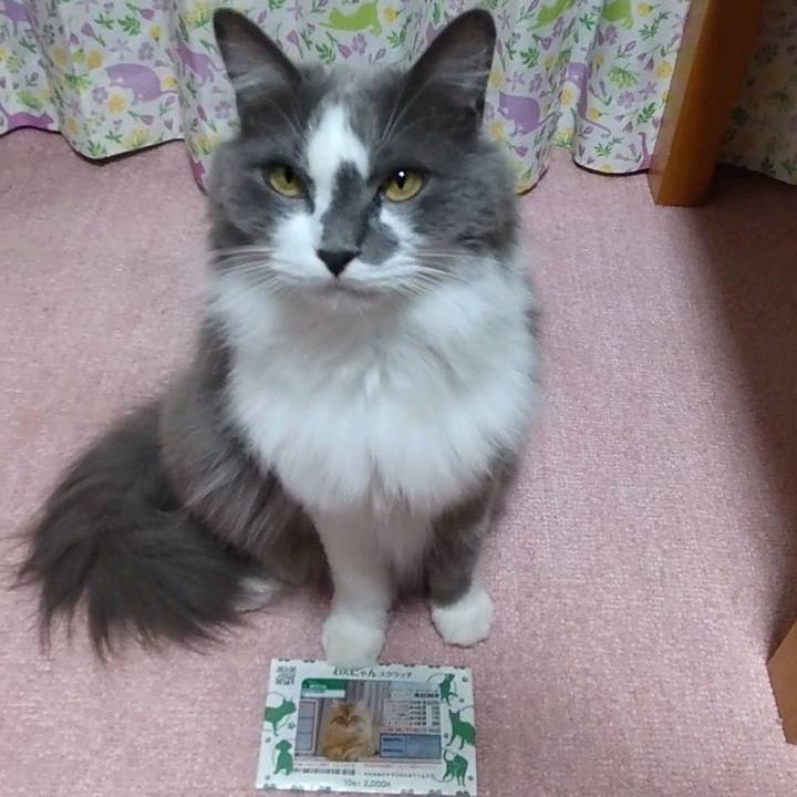 20d04d0e 1311 440c 9aea 27c0349b41b1 1635583360140