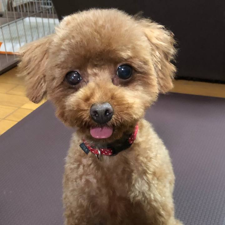 20d07138 e9bf 42c7 b40f 70ea38e3ccd7 1562405523093