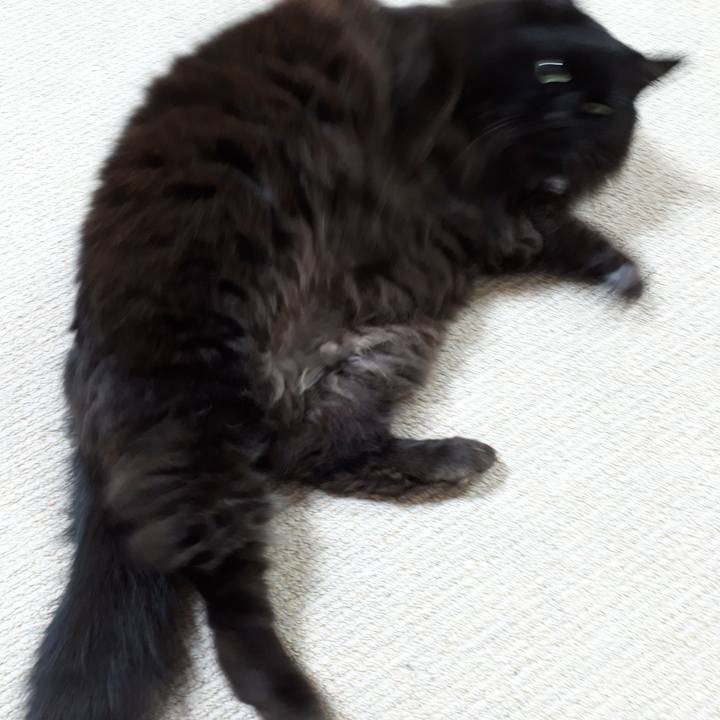 20d08399 f338 48f7 9db5 6dcdfc884207 1517776494401