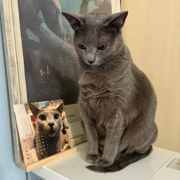 20d091ea 0844 4d98 b451 834fcc832241 1775479308843