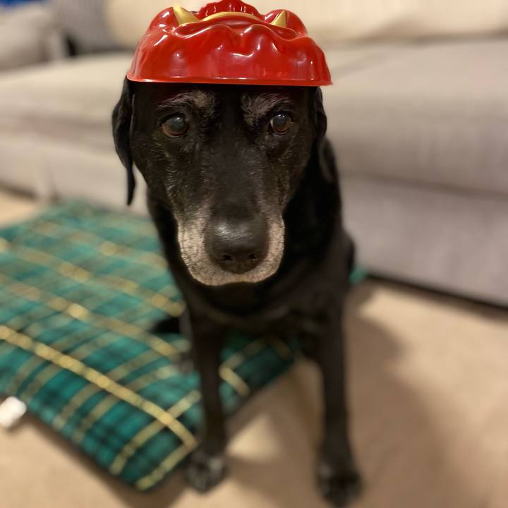 20d09cd1 9cee 4a82 b6d2 a5916750938a 1643892936333