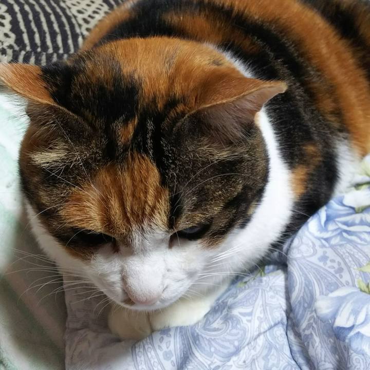 20d0a884 8acb 4e04 9204 4a63e9f6467a 1543528440184