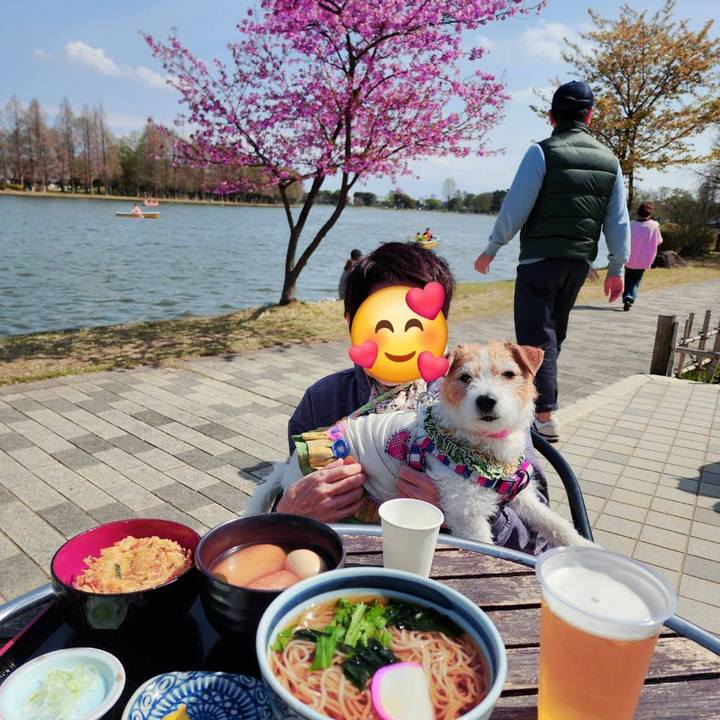 20d0beb4 68fe 45f5 a803 1b13b1d591bb 1743835309625