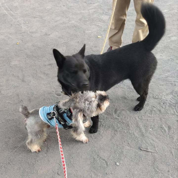 20d10b5a d109 4949 a086 743bb571fe99 1689641039615