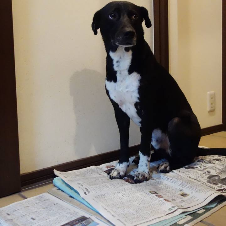 20d154b9 434e 4ecb 9ae0 f4649d55a5d1 1615594329375