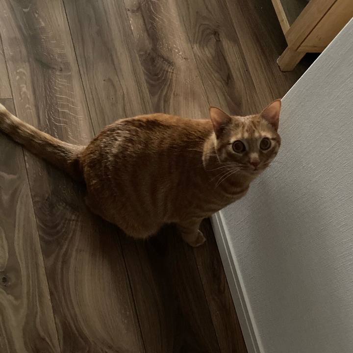 20d156b4 4530 42cb 97f9 8709072bcd15 1613651174222