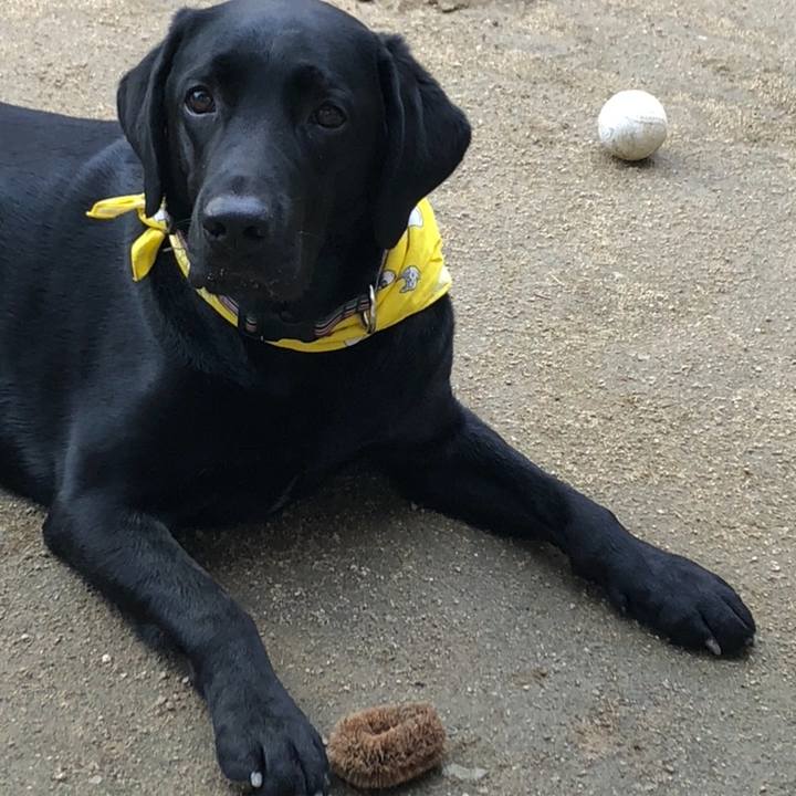 20d15fa2 2e59 4ca5 960c 0417cc5b962e 1570665568343