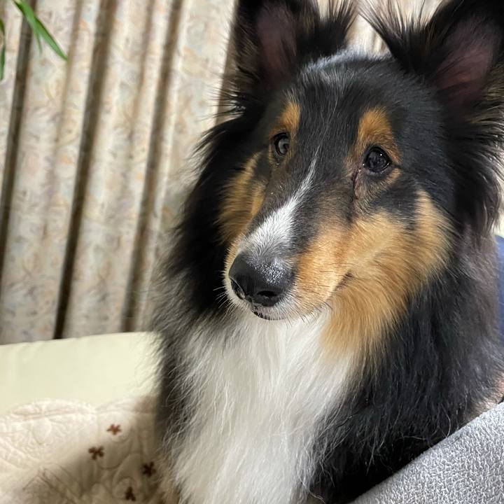 20d1a8d1 88b2 45a4 9efc 373184b29579 1621819785994