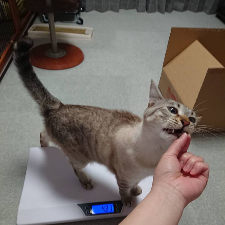 20d1aceb 869c 4933 87ee 1e692200663a 1522243625947