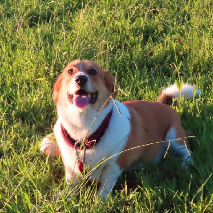 20d1c6af 9f89 4084 9028 03e91252d59d 1629426818918