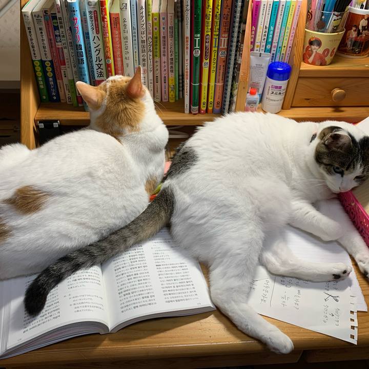 20d1d35b 50e9 44c4 9f09 9338ccfc0716 1633638676741