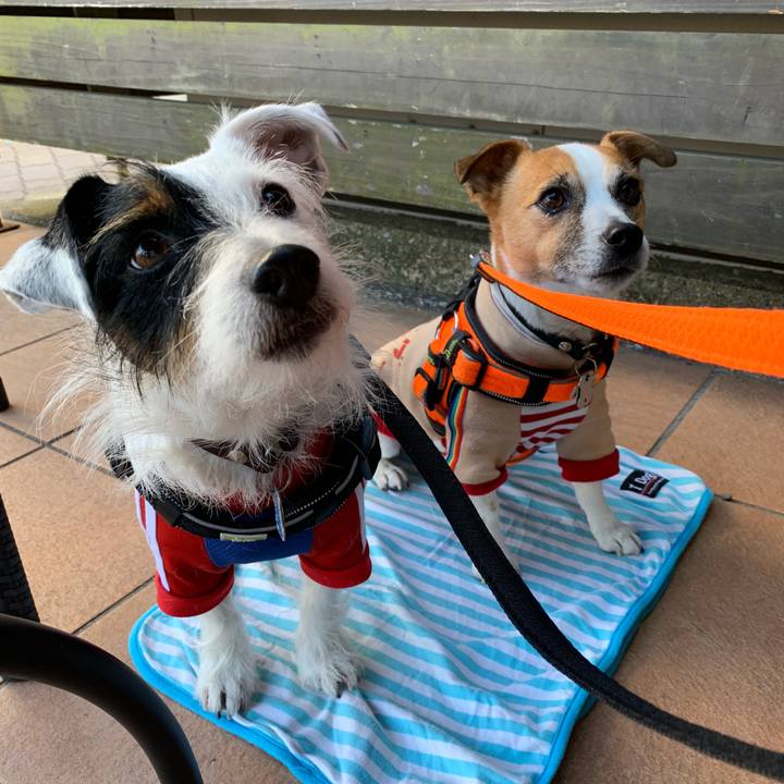 20d211e4 c074 4b3b 8e01 b5540ab509f5 1547881002368