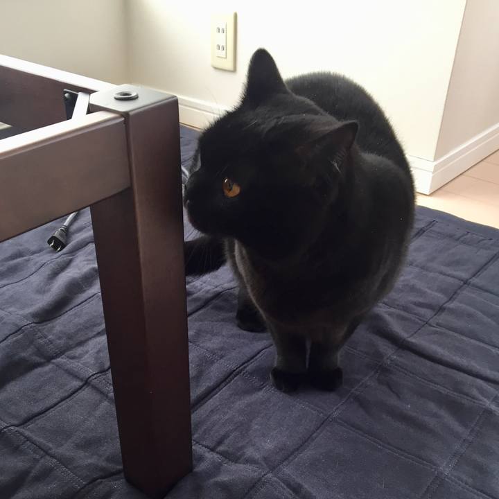 20d22312 31ad 4102 98e8 450946795429 1548633524648