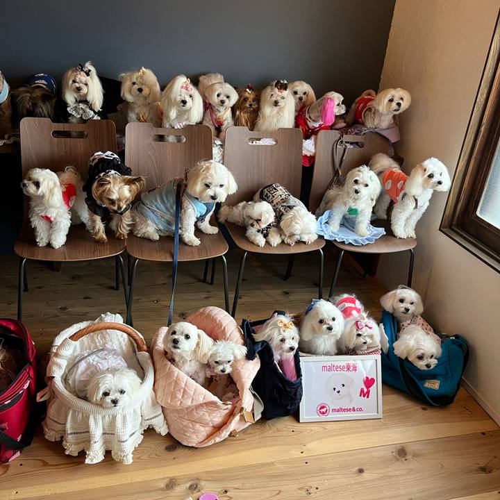 20d2246f 4076 44e7 bda0 cc44af61eda2 1719742950502