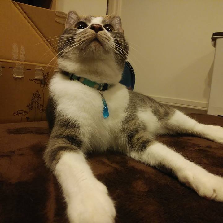 20d24200 d5ec 4c7d 8de6 430317e476cd 1580398739657