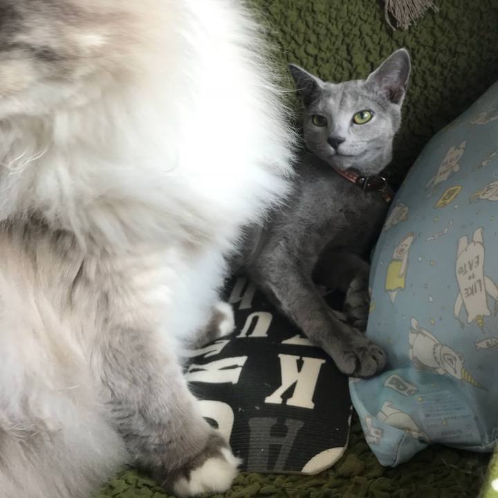 20d276e7 97ab 4c29 8bdf 0c1d61fe55cb 1525270098828