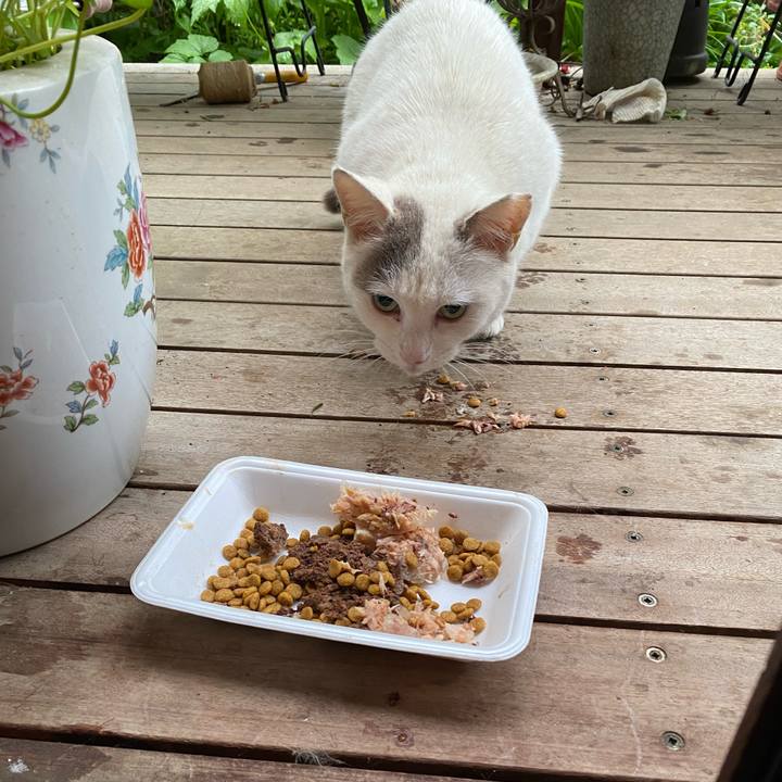 20d2b40a e4a4 497b bb1f 2919302f1122 1652082770967