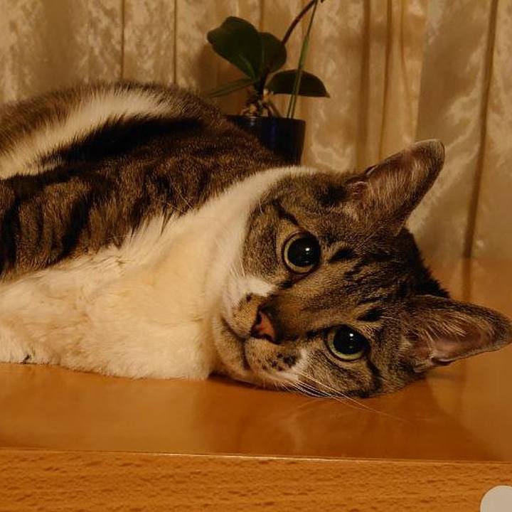 20d2c172 04cc 49ad 91d7 c24db640bd5a 1681823999514