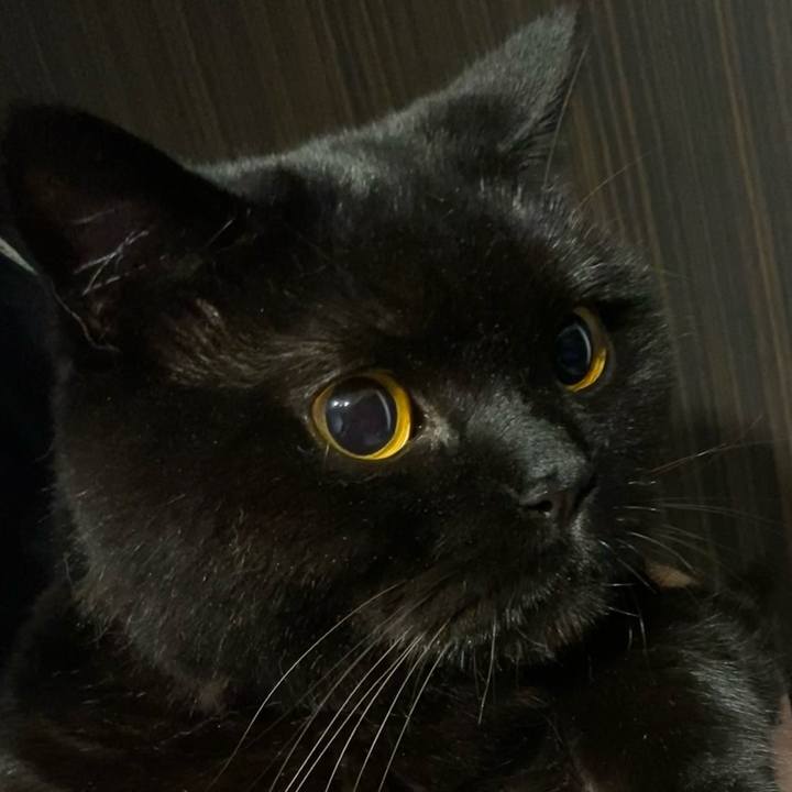 20d2ce1f 19d8 4b89 bf13 4b6d56455742 1624709062841