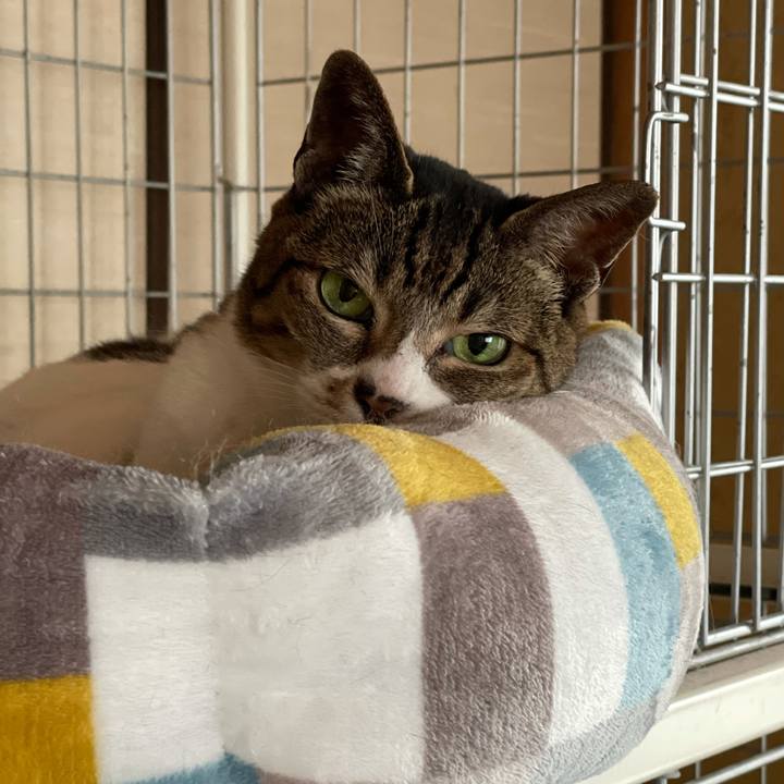 20d2cf8f 0dd7 4850 9274 08c94027768e 1622685720941