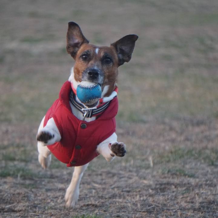 20d31261 c659 43e9 a42a 8573b621e933 1549926437236