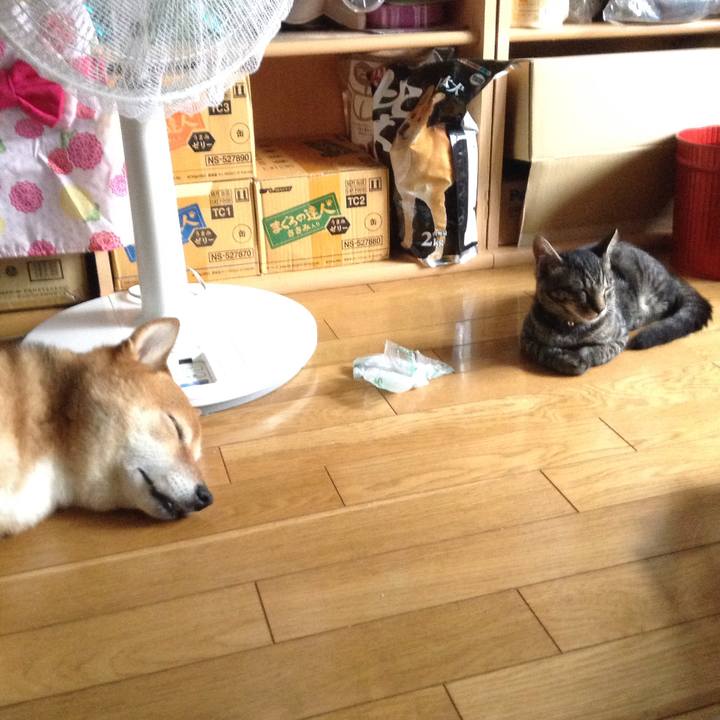 20d317b3 5e8a 40c4 b4c3 a3adc8c6370a 1531888000379