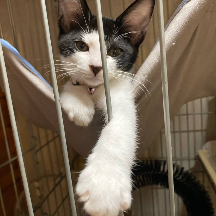 20d334c9 ee25 443a ab9f 018e1e5f0838 1627028544144