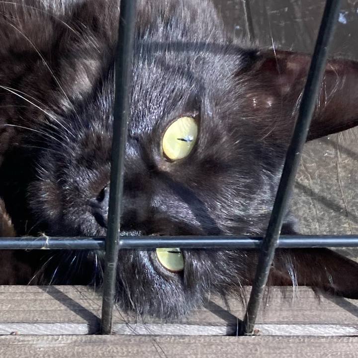 20d33642 0895 4705 b26b 748e2b205e57 1745061385100