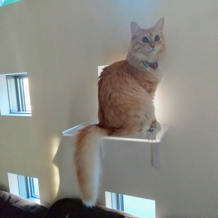 20d37d49 5289 40d0 9bd6 7e7885aae38a 1633681355451