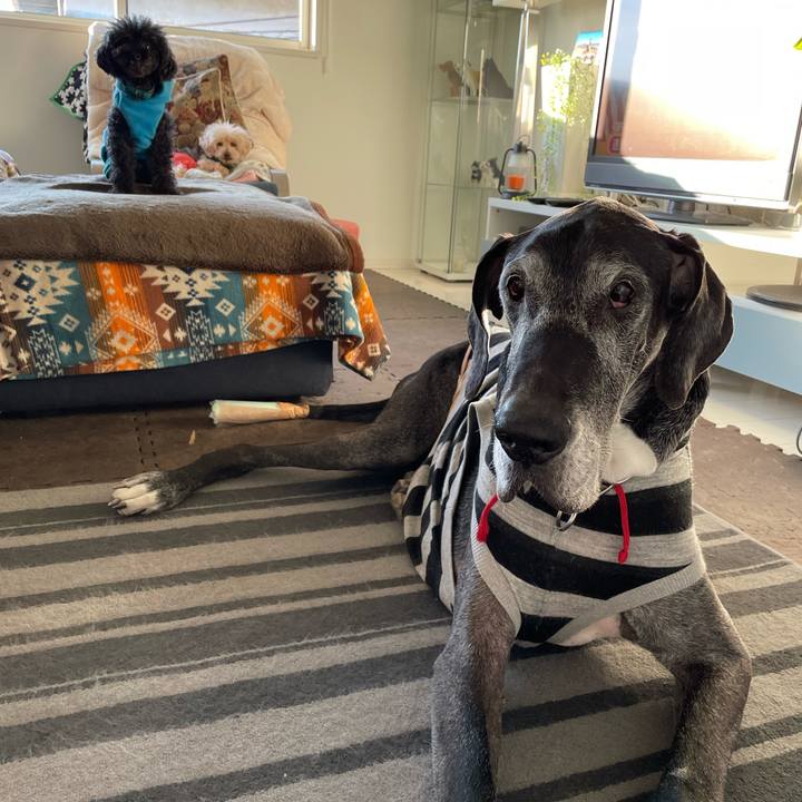 20d39d82 84c4 4848 807c b653cfa9c7e2 1645482500507