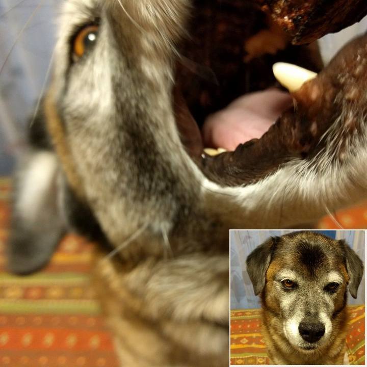 20d3d661 7252 4999 a4fa a96d2690d398 1541145587376