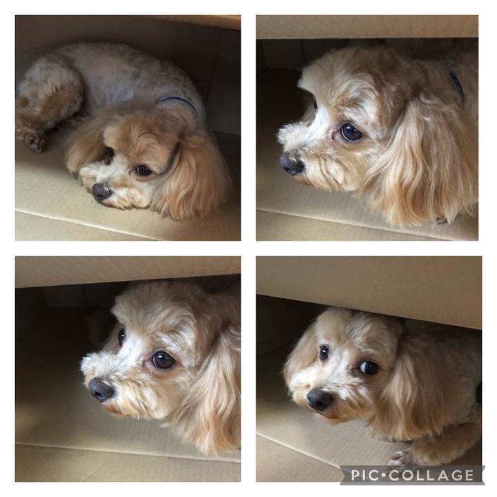 20d3dd65 b70a 4732 9e3e a3812d34f380 1625987322358