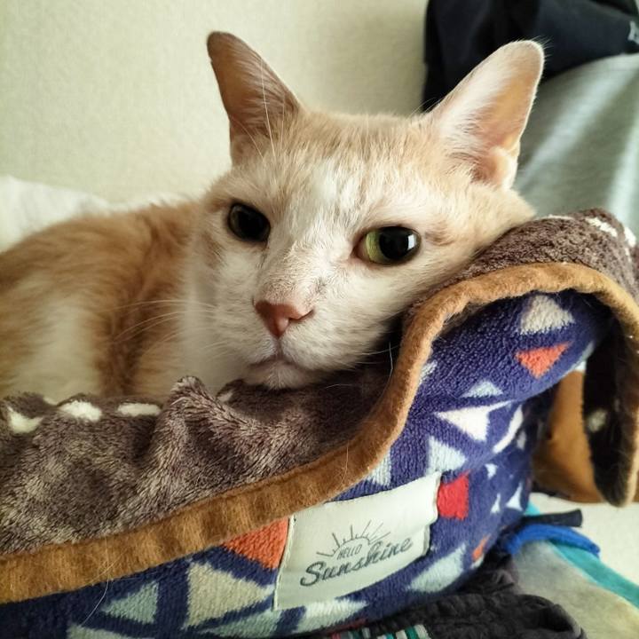 20d3e602 ca12 4b63 8e76 2af1e1cdac8d 1667950118404