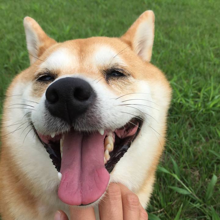 20d41ed3 9883 422f a1bb 7e1c470a665d 1534476940931