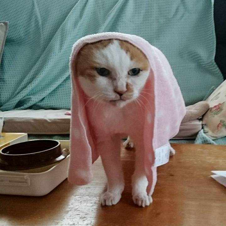 20d433c1 f492 4bfa 9be0 ffcf73f24df6 1534890860609