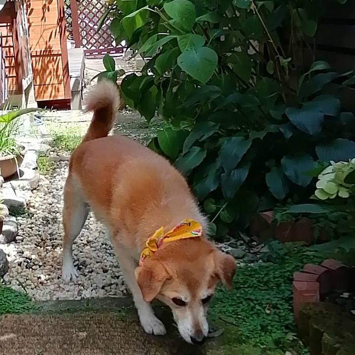 20d44750 edcc 498b 8447 5670ec280ea6 1597133234466