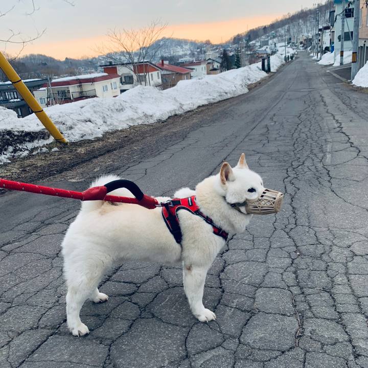 20d44915 c745 416d 9e3e 85ad032cb590 1678832497831