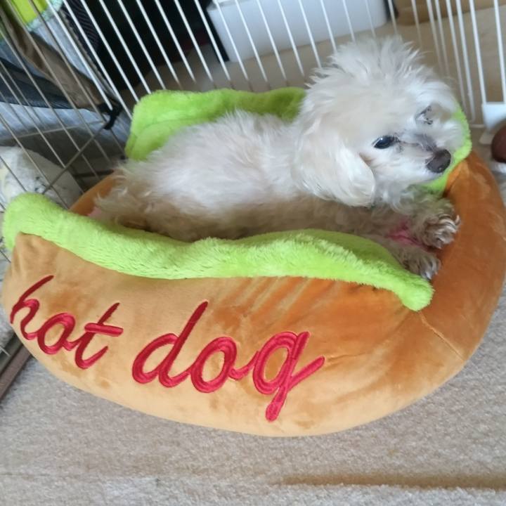 20d45e75 783e 404a a1fb 0567285f22fc 1723534407759