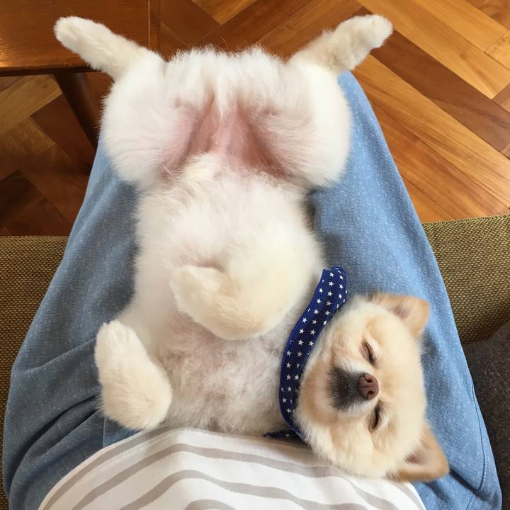 20d46454 94a3 405c 8bbe e58147529cac 1563174250234