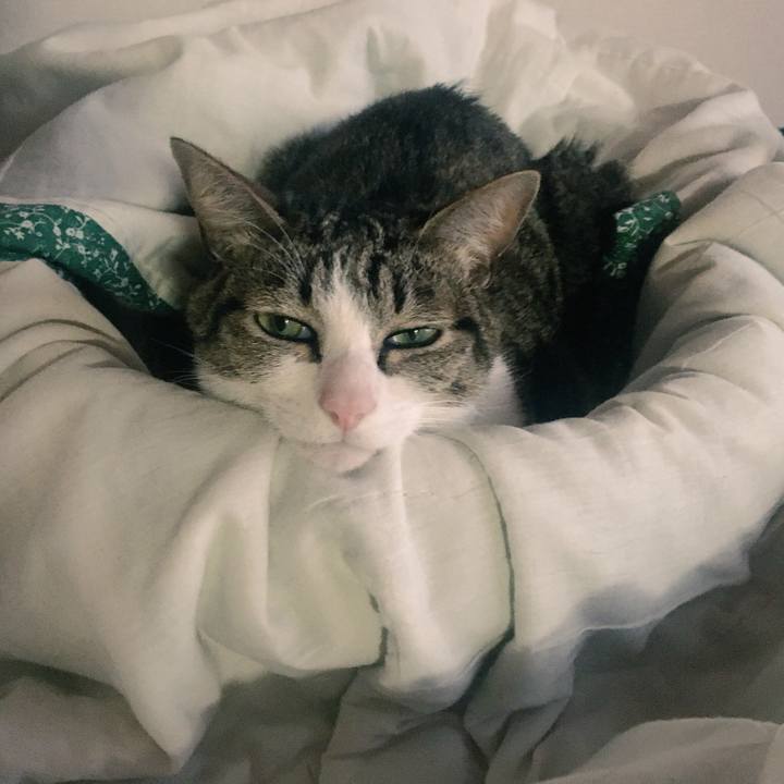 20d46582 5d5d 4a7d b9bd ba1ad39062cf 1526430496918