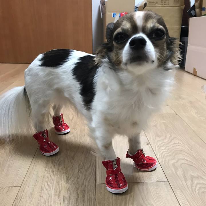 20d4984e eb7e 455c a002 c765a12d453a 1542900213571