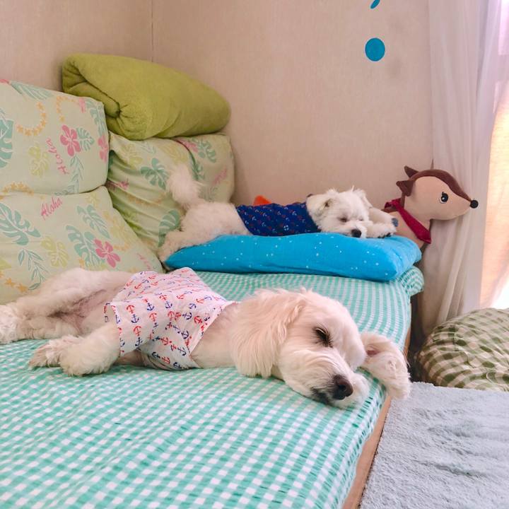 20d4af1c 1eee 423d 91b9 734e3e4374cb 1525225219949