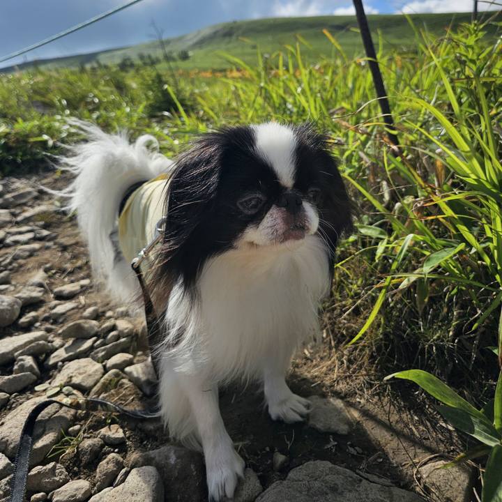 20d4d3f9 a29f 456f 8d06 21019ad3c1f5 1721770230812