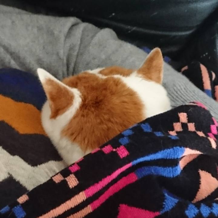 20d4f9bc d7d4 4197 b018 153d776af82e 1578116451325