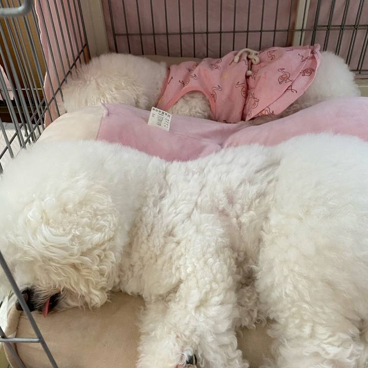 20d51854 71d3 47b4 bc0d 06afdd6b1414 1617942744852